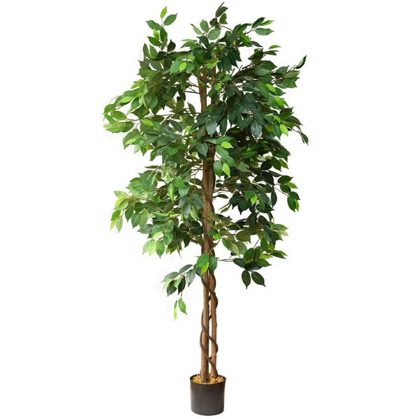 Forever Leaf 6 ft. Silk Ficus Tree FL02103